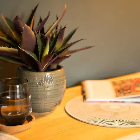 Quarry Heights 公寓 鲍内斯温德米尔