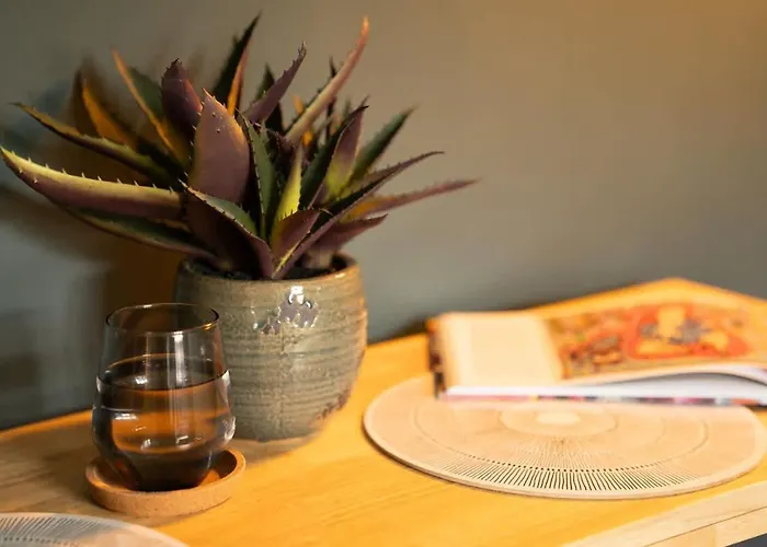 Quarry Heights 公寓 鲍内斯温德米尔